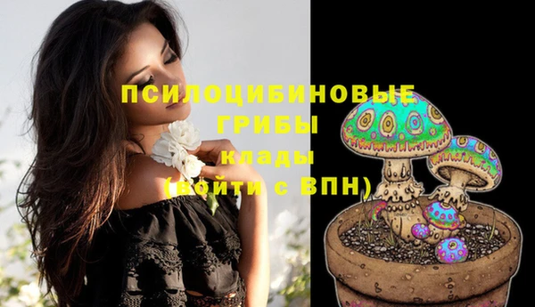 твердый Костерёво