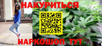 крисы Краснодар