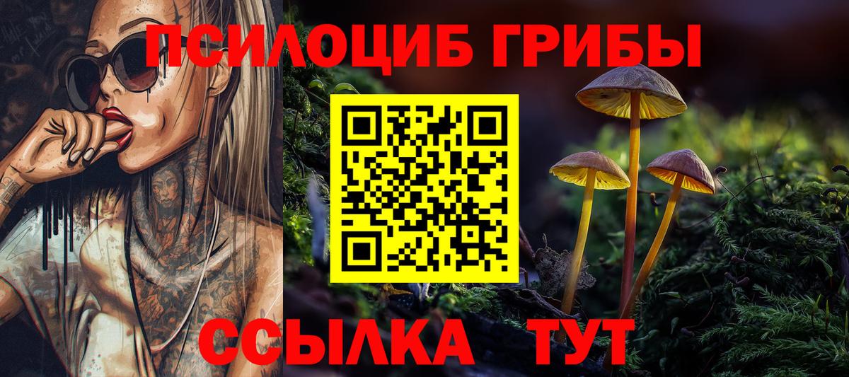 APVP Курчалой
