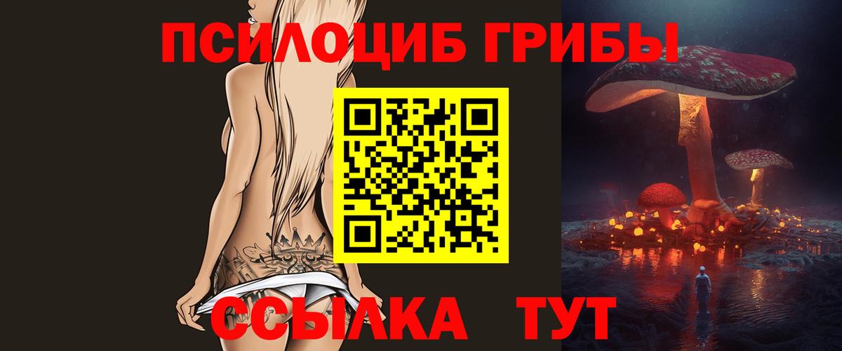 Псилоцибиновые грибы мицелий Курчалой