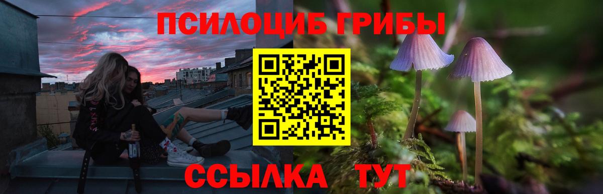 Курчалой  Галлюциногенные грибы прущие грибы  Псилоцибиновые грибы GOLDEN TEACHER  Вход с VPN 